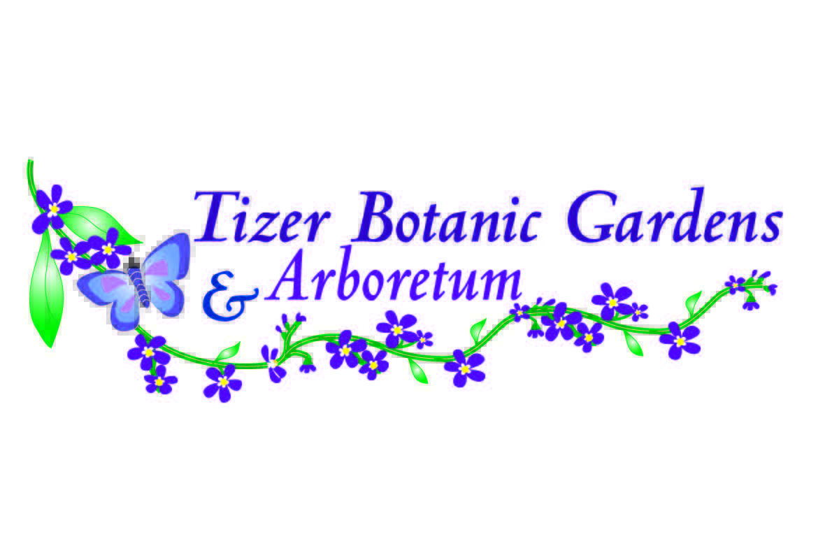 Tizer BG & A logo pdf